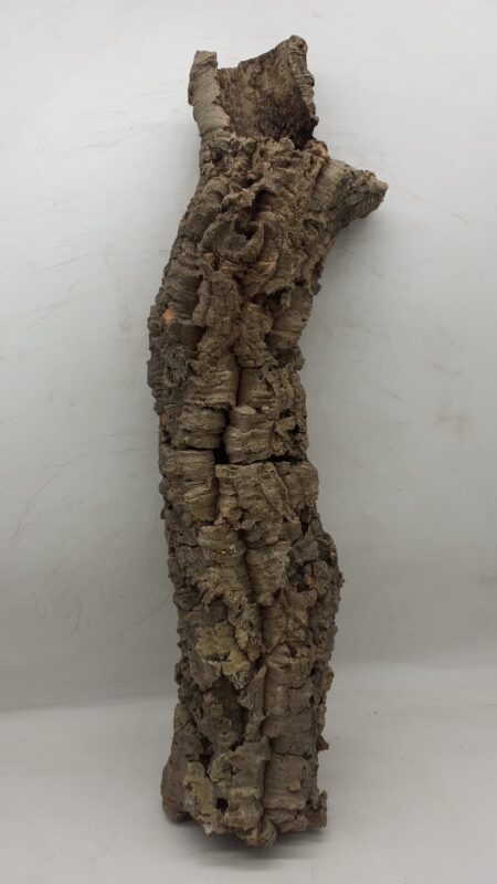 Medium Cork Tube - 60-80cm - 8