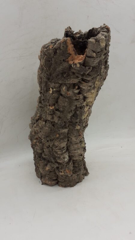 Medium Cork Tube - Upto 40cm - 20