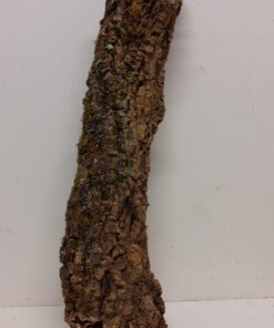 Small Cork Tube - 60-80cm - 8