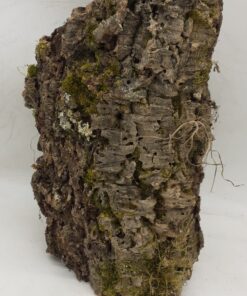 Large Cork Tube - Upto 40cm - 4