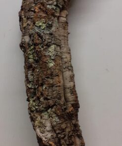 Medium Cork Tube - 80-110cm - 15