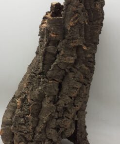 Large Cork Tube - 40-60cm - 2