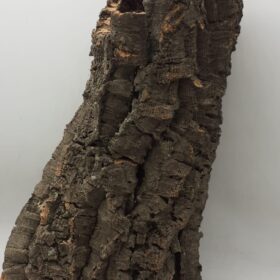 Large Cork Tube - 40-60cm - 2