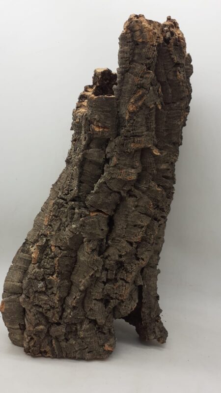 Large Cork Tube - 40-60cm - 2