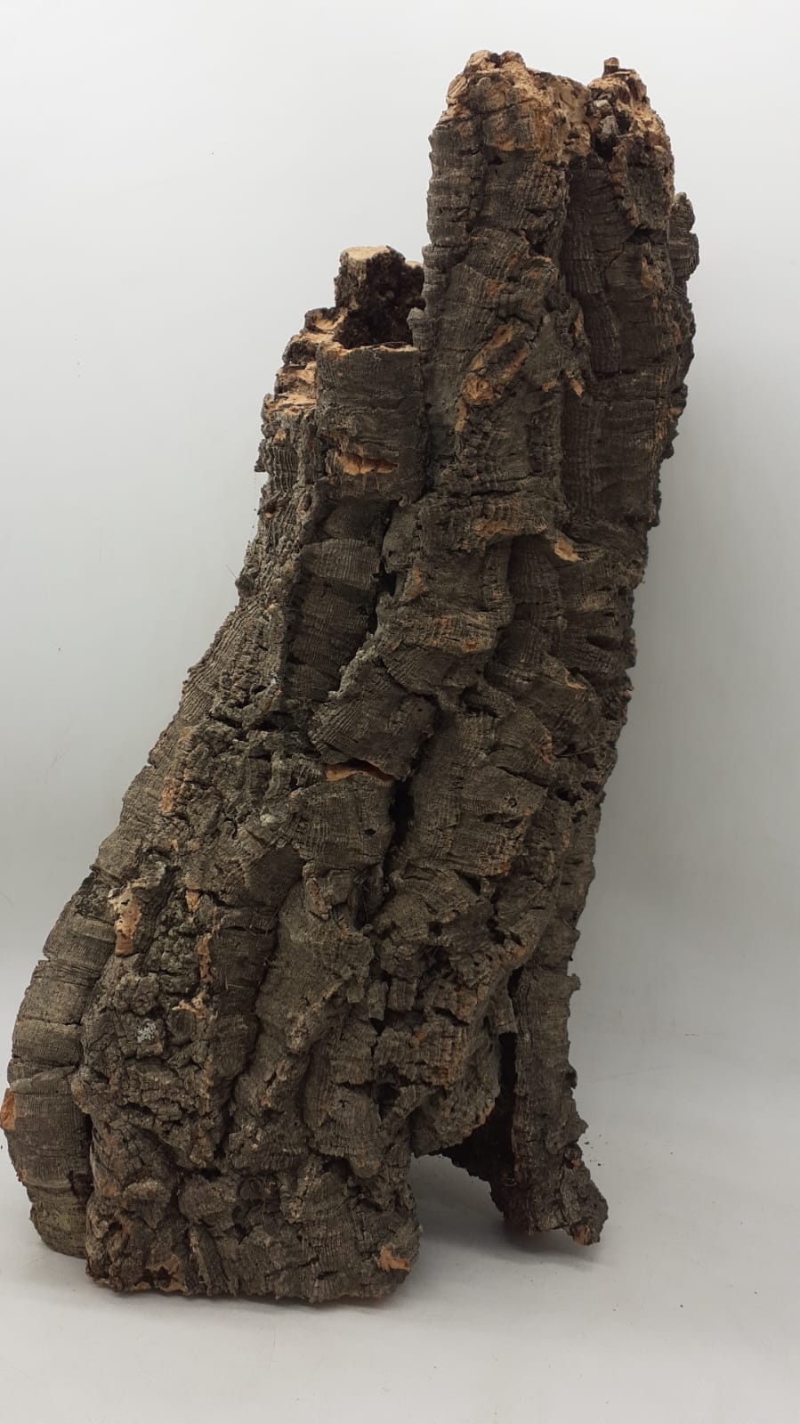 Large Cork Tube - 40-60cm - 2