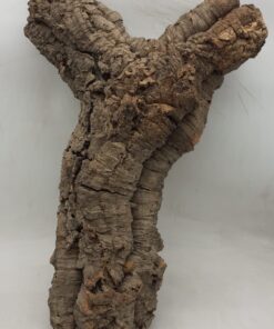 Medium Cork Tube - 60-80cm - 14