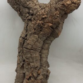 Medium Cork Tube - 60-80cm - 14