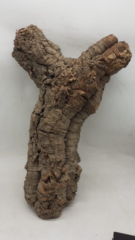 Medium Cork Tube - 60-80cm - 14