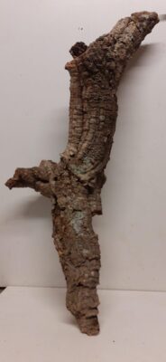 Medium Cork Tube - 80-110cm - 2