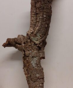 Medium Cork Tube - 80-110cm - 2