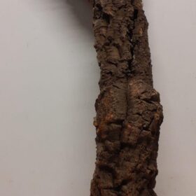 Medium Cork Tube - 80-110cm - 6