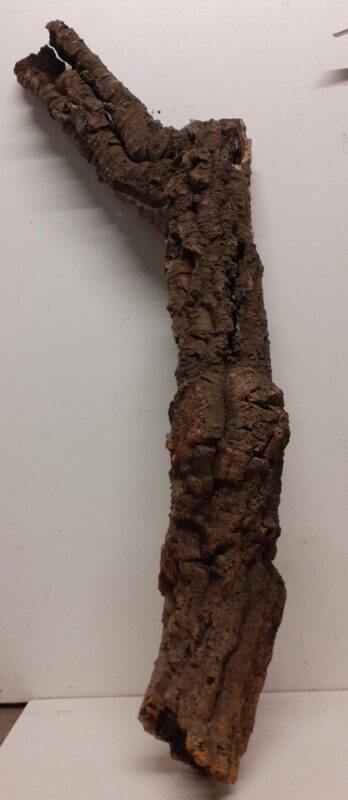 Medium Cork Tube - 80-110cm - 6