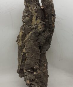 Large Cork Tube - 60-80cm - 7