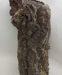 Large Cork Tube - 60-80cm - 9