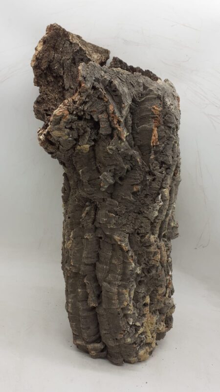 Large Cork Tube - 60-80cm - 9