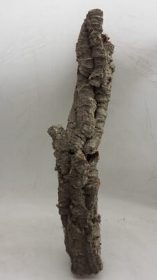 Small Cork Tube - 40-60cm - 7