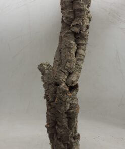 Small Cork Tube - 40-60cm - 7