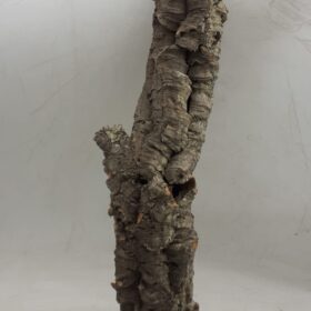 Small Cork Tube - 40-60cm - 7