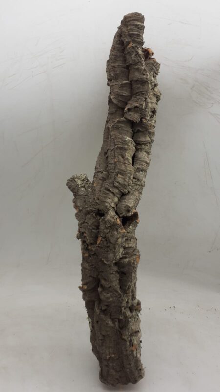 Small Cork Tube - 40-60cm - 7