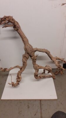 Sandblasted Grapevine - XL 4