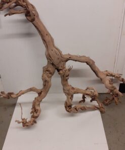 Sandblasted Grapevine - XL 4