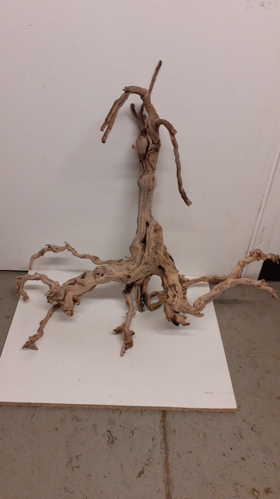 Sandblasted Grapevine - XL 19