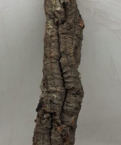 Small Cork Tube - 60-80cm - 20
