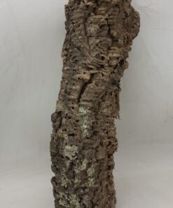 Medium Cork Tube - 40-60cm - 4