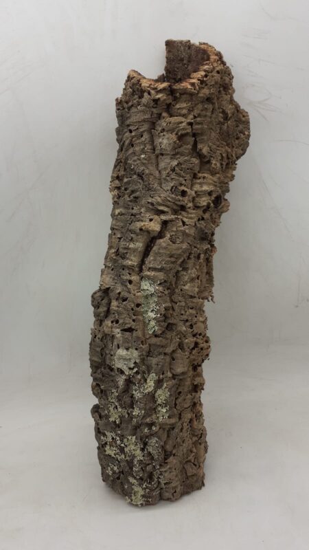 Medium Cork Tube - 40-60cm - 4