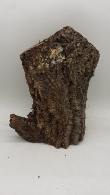 Large Cork Tube - 40-60cm - 9