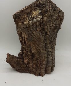 Large Cork Tube - 40-60cm - 9