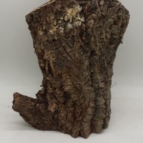 Large Cork Tube - 40-60cm - 9