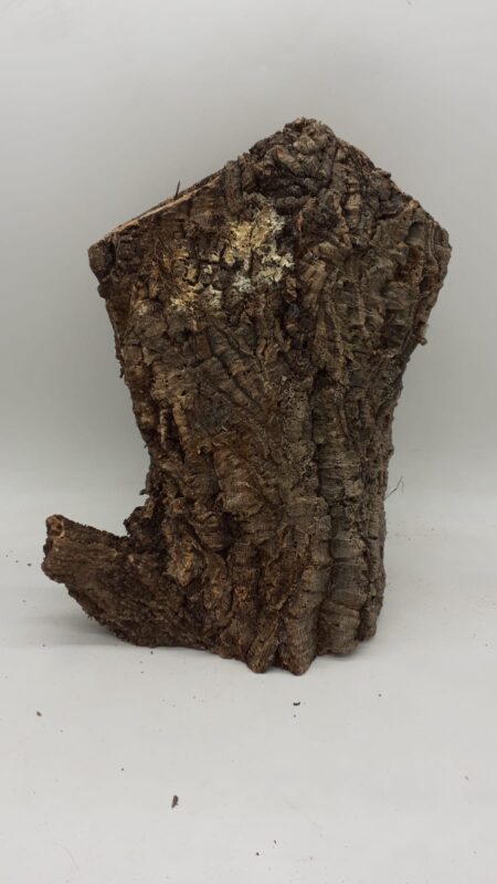 Large Cork Tube - 40-60cm - 9