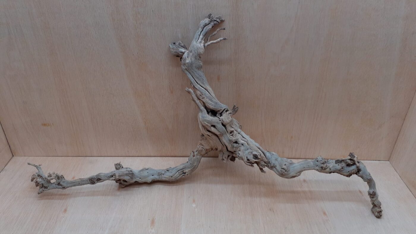 Sandblasted Grapevine - XL 8