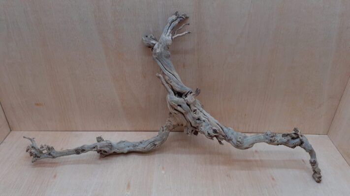 Sandblasted Grapevine - XL 8