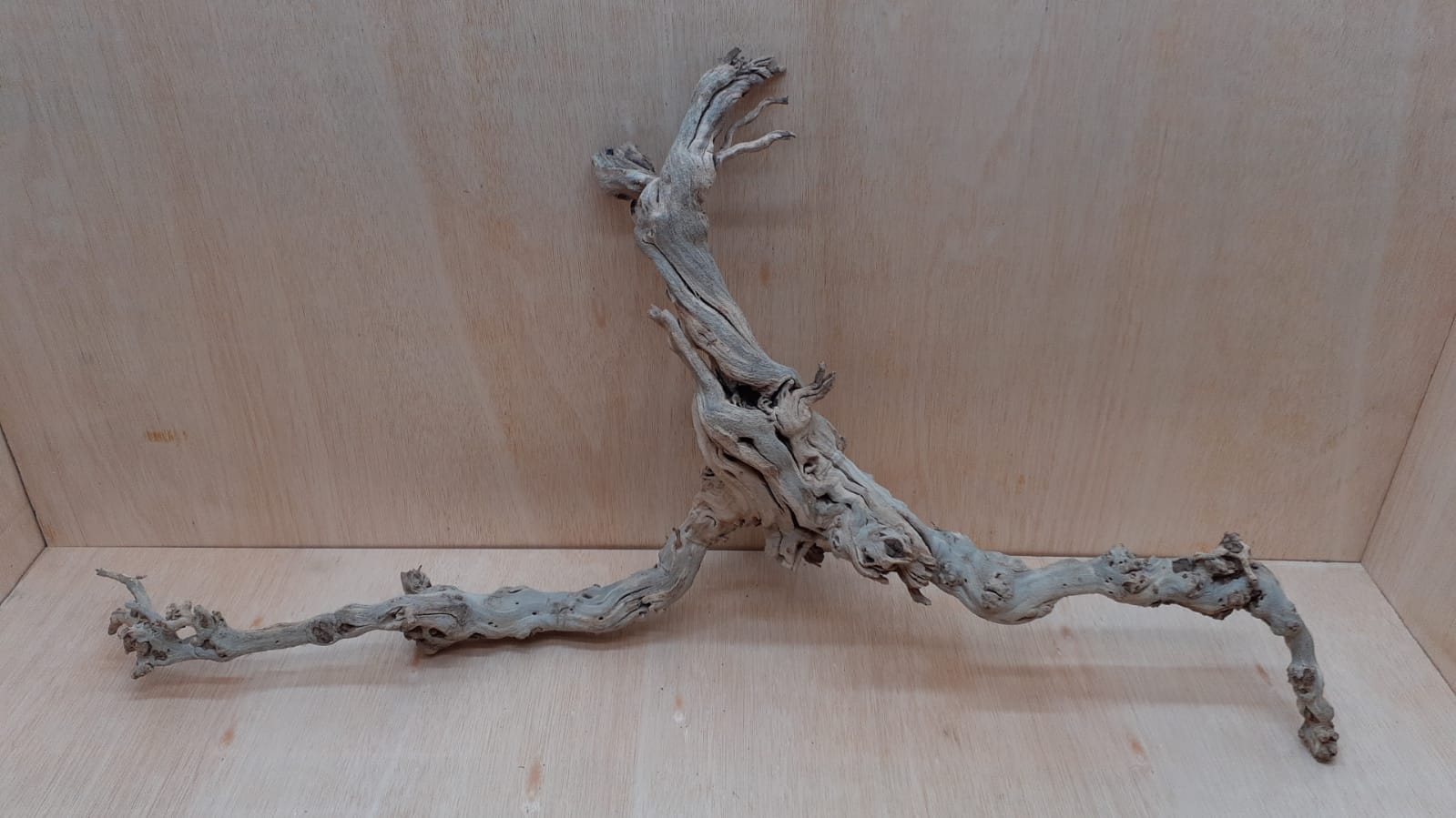 Sandblasted Grapevine - XL 8