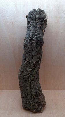 Medium Cork Tube - 80-110cm - 5
