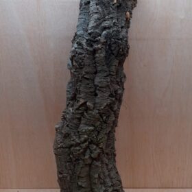 Medium Cork Tube - 80-110cm - 5