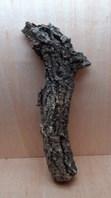 Medium Cork Tube - 60-80cm - 12