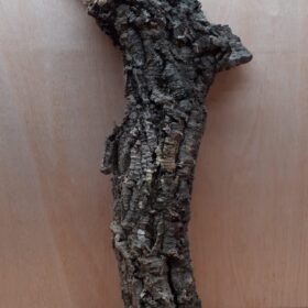 Medium Cork Tube - 60-80cm - 12