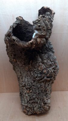 Large Cork Tube - 60-80cm - 8