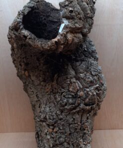 Large Cork Tube - 60-80cm - 8