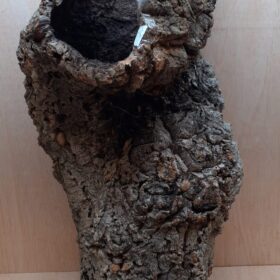 Large Cork Tube - 60-80cm - 8