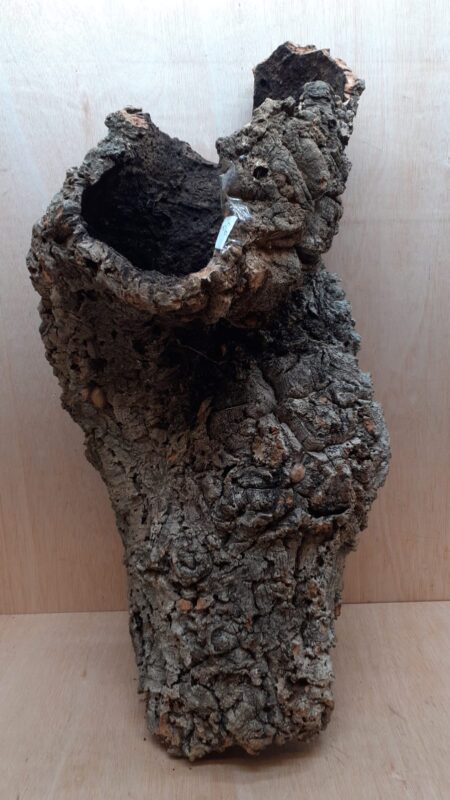 Large Cork Tube - 60-80cm - 8