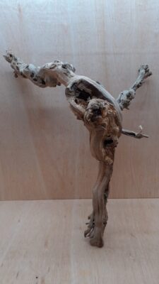 Sandblasted Grapevine - Large 6