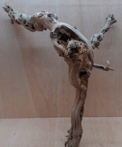 Sandblasted Grapevine - Large 6