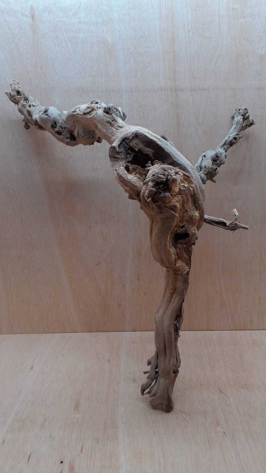 Sandblasted Grapevine - Large 6