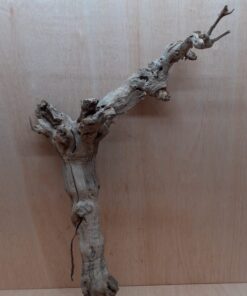 Sandblasted Grapevine - Large 13