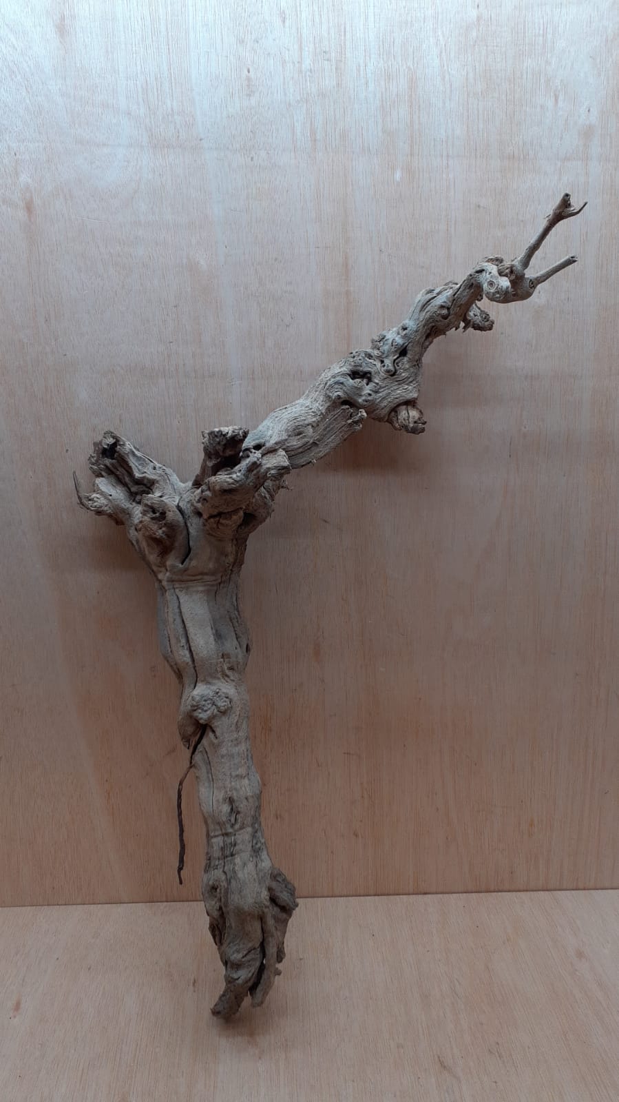 Sandblasted Grapevine - Large 13