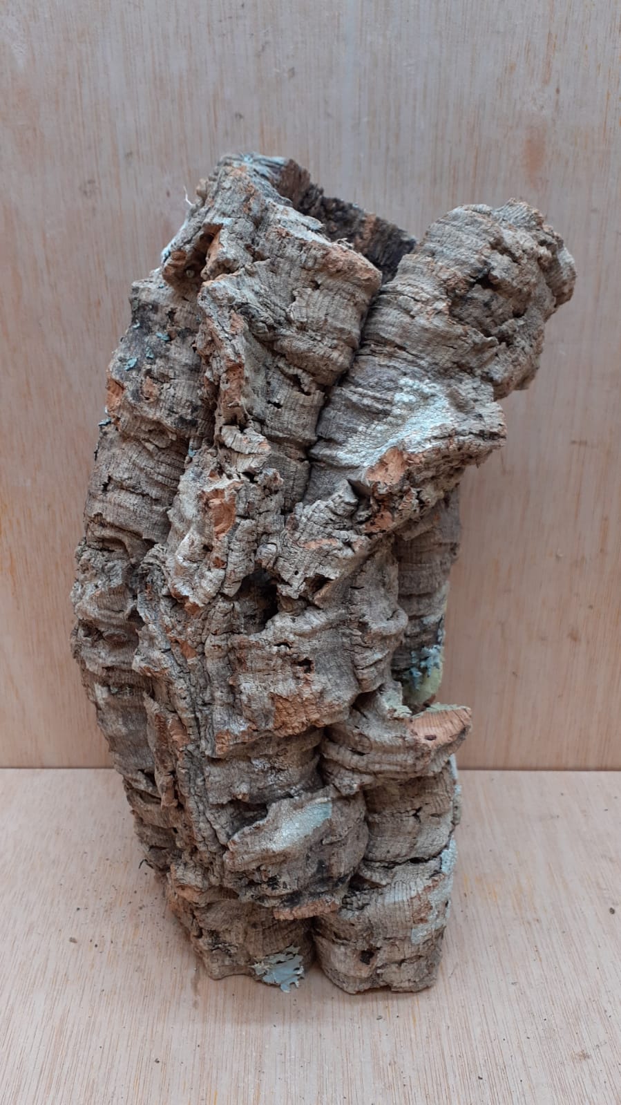 Medium Cork Tube - Upto 40cm - 18